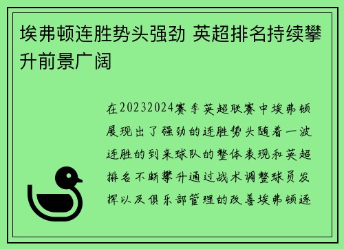 埃弗顿连胜势头强劲 英超排名持续攀升前景广阔